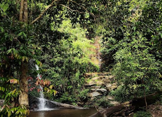 thailand/doi-suthep-pui-national-park/attraction/doi-pui-nature-trail