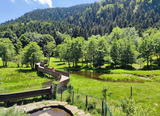 spain/pyrenees-mountains/attraction/aran-park-parc-animalier