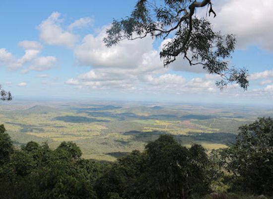 australia/mid-west/attraction/bunya-mountains-national-park