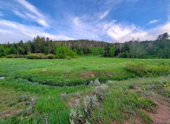 wyoming/laramie-plains/attraction/happy-jack-recreation-area-trailhead