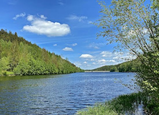 germany/vogtland/attraction/talsperre-falkenstein
