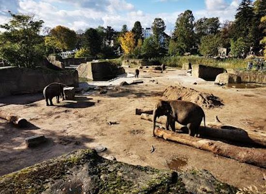 germany/cologne/attraction/cologne-zoological-garden