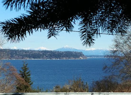 washington/whidbey-island/attraction/saratoga-woods