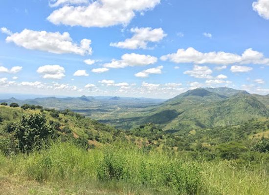 malawi/dedza-highlands/attraction/dedza-salima-forest-reserve