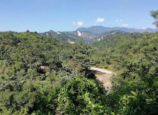 bhutan/phuentsholing/attraction/view-point-menoka-tee-garden