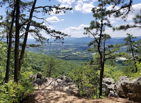 virginia/southwest-virginia/attraction/read-mountain-preserve