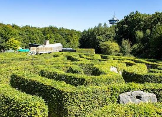 netherlands/maastricht/attraction/labyrinth-three-countries-point