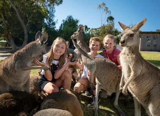 australia/illawarra/attraction/symbio-wildlife-park