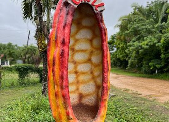 belize/placencia/attraction/che-il-mayan-chocolate