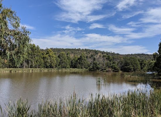 australia/yarra-valley/attraction/birdsland-reserve