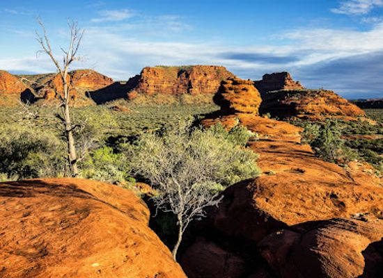 australia/macdonnell-ranges/attraction/finke-gorge-national-park