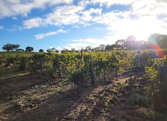 australia/barossa-valley/attraction/whistler-wines-barossa-valley