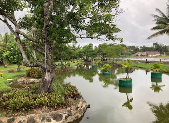 fiji/levuka/attraction/my-suva-park