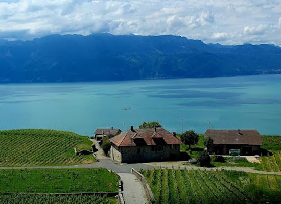 switzerland/lake-geneva-region/attraction/genfer-see