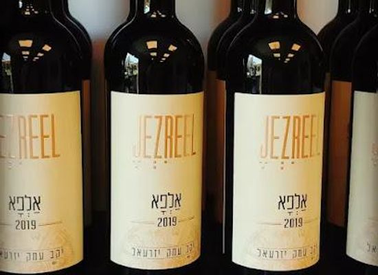 israel/northern-district/attraction/jezreel-valley-winery