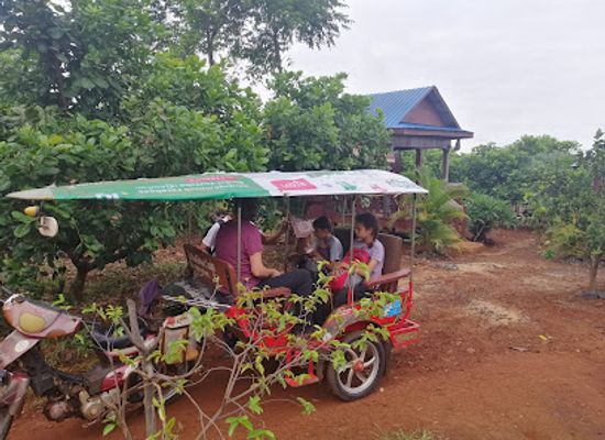 cambodia/ratanakiri-province/attraction/lucky-jungle-trekking-tours-banlung-ratanakiri-cambodia