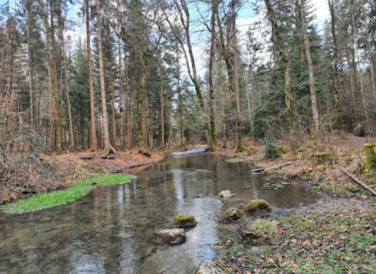 switzerland/thun/attraction/tropfsteinhohlen-glutschbachtal