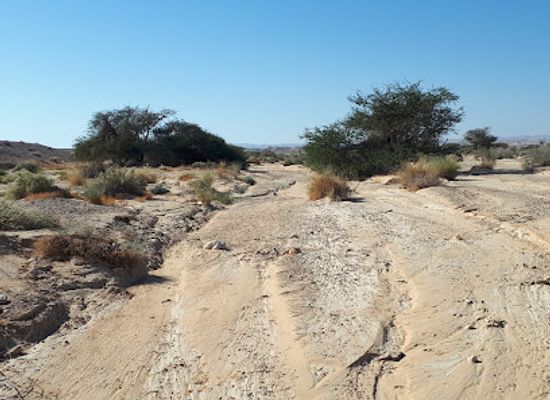 israel/negev/attraction/desert-pulse