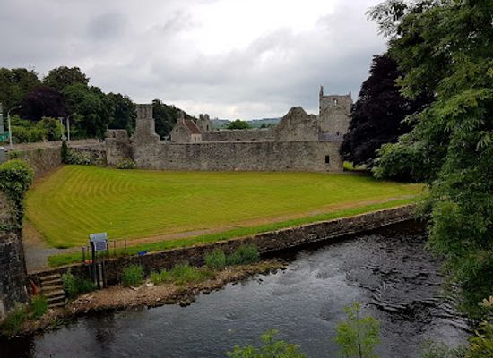 ireland/county-roscommon/attraction/boyle-abbey