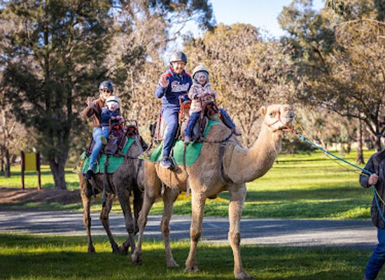 australia/high-country/attraction/billabong-ranch