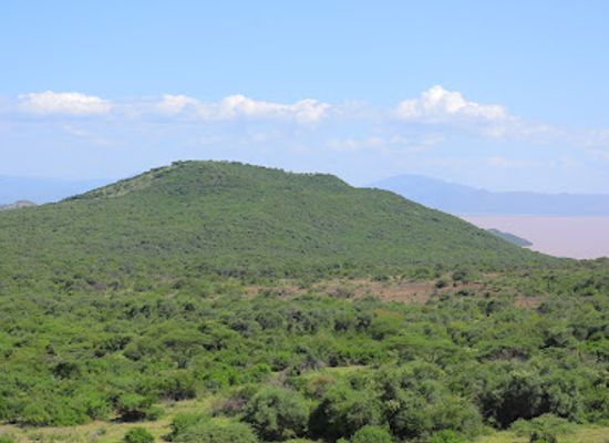 ethiopia/sidama-region/attraction/loka-abaya-national-park