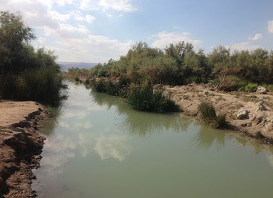 jordan/ghor-al-safi/attraction/viva-natural-reserve