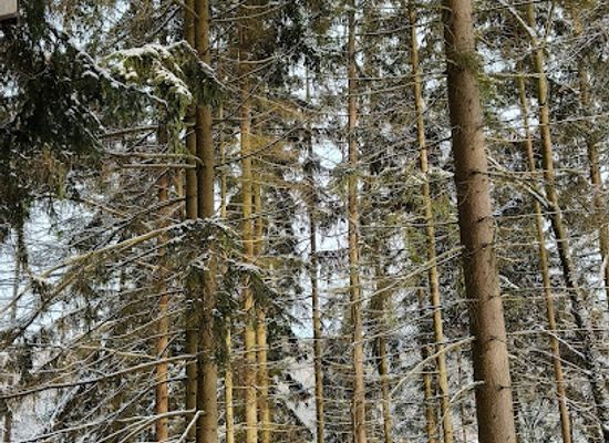 czechia/karlovy-vary/attraction/odpocivadlo-lazenske-lesy