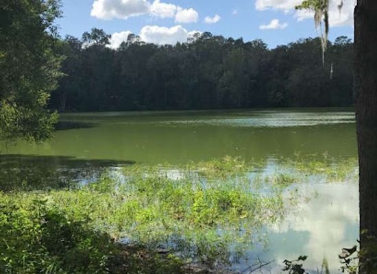 florida/gainesville/attraction/clear-lake-nature-park
