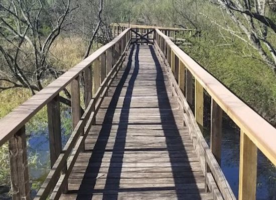 texas/brownsville/attraction/sabal-palm-sanctuary