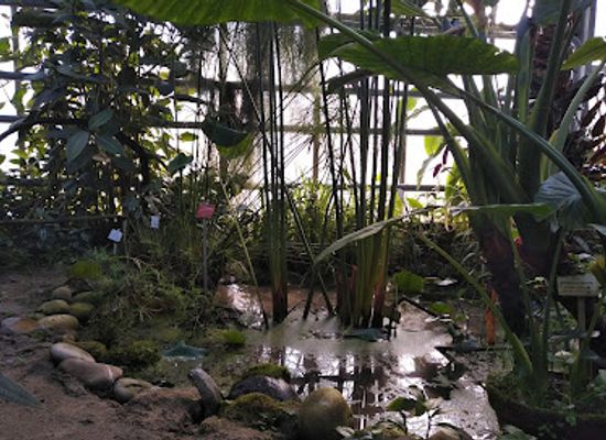 germany/lake-constance/attraction/und-botanisches-forschungslabor-der-universitat-konstanz-botanical-garden