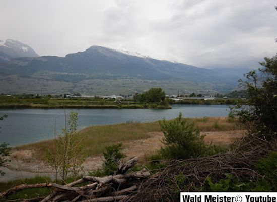 switzerland/nendaz/attraction/reserve-naturelle-des-epines