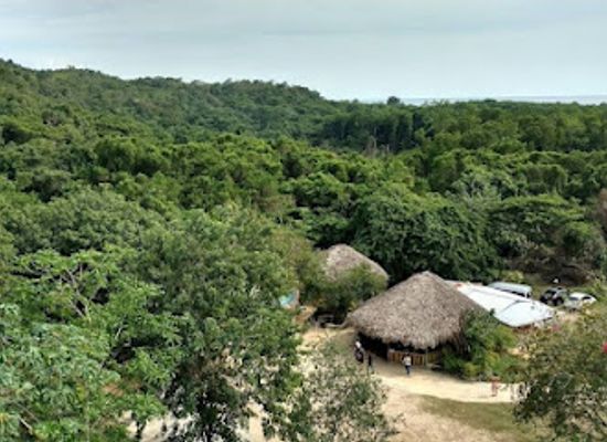jamaica/savanna-la-mar/attraction/graham-tours-and-adventure