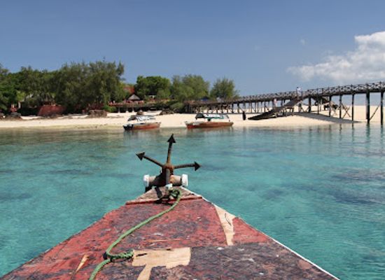 tanzania/zanzibar-city/attraction/tortoise-sanctuary