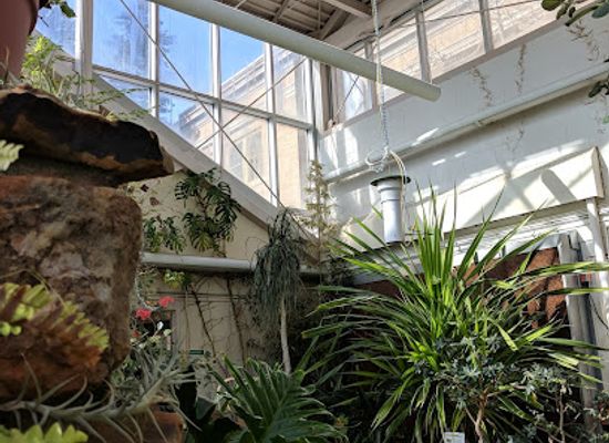 wyoming/laramie/attraction/rocky-mountain-herbarium