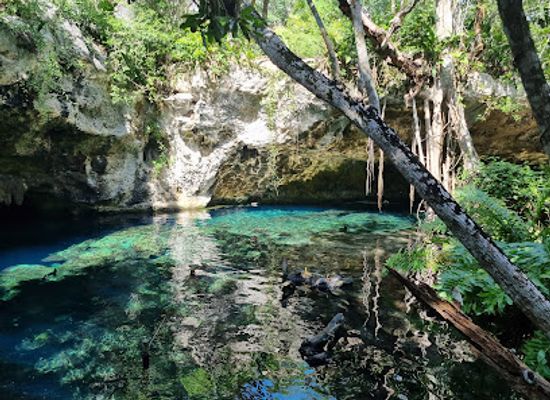 mexico/yucatan-peninsula/attraction/gran-cenote