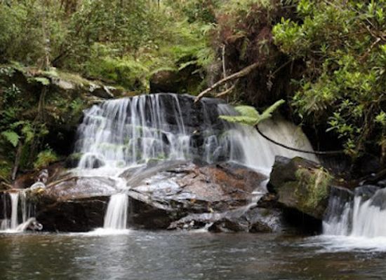 madagascar/ihorombe/attraction/andasibe-mantadia-national-park