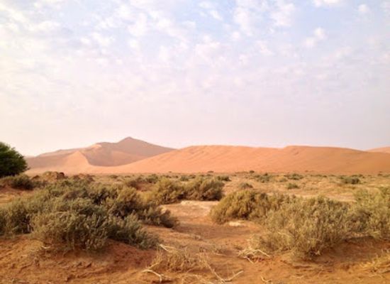 namibia/spitzkoppe/attraction/big-daddy-dune