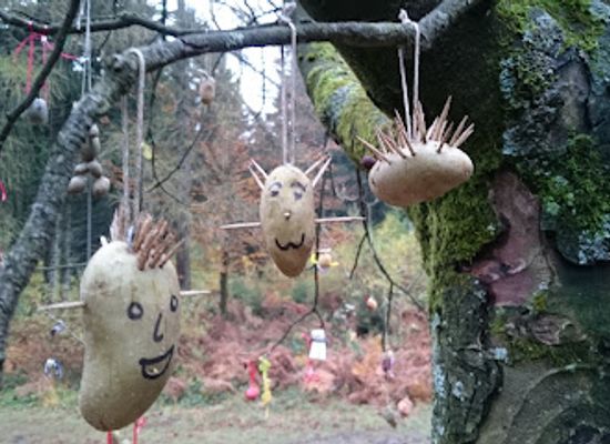 germany/eifel/attraction/kartoffelbaum-im-hurtgenwald