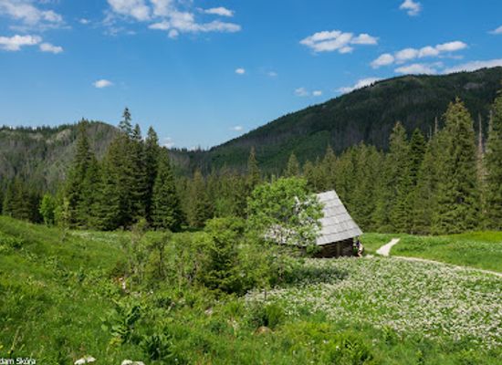 poland/tatra-mountains/attraction/dolina-olczyska