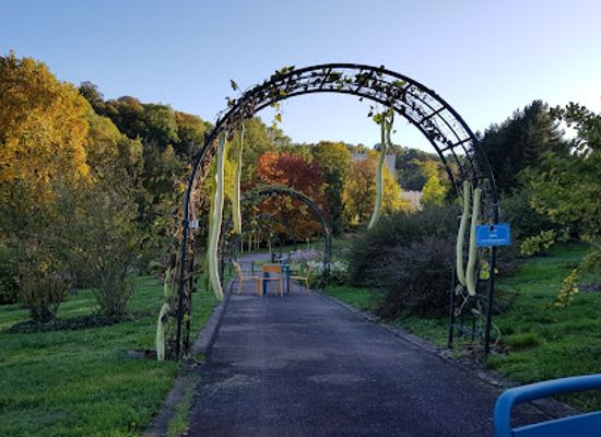 france/lorraine/attraction/jean-marie-pelt-botanical-garden