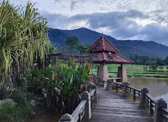 malaysia/east-malaysia/attraction/taman-tasik-embayu-proton-city