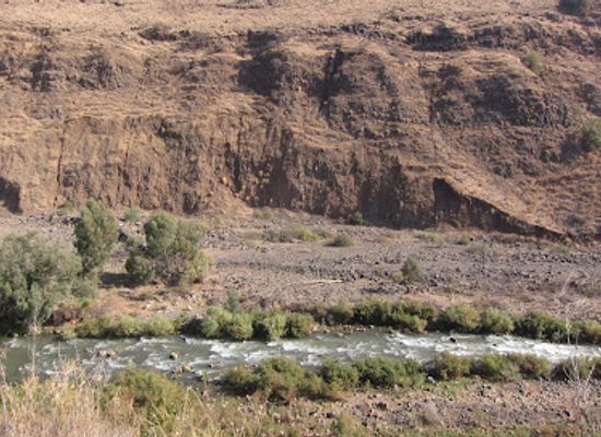 jordan/northern-jordan-valley/attraction/jordan-park