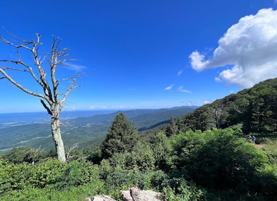virginia/luray-caverns/attraction/jewell-hollow-overlook