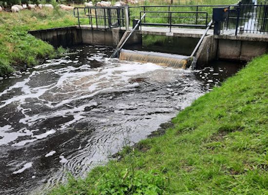 netherlands/west-friesland/attraction/den-treek-henschoten