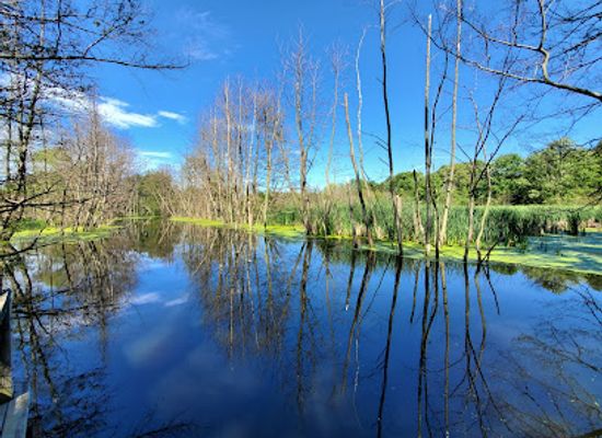 michigan/holland-state-park/attraction/stu-visser-trails
