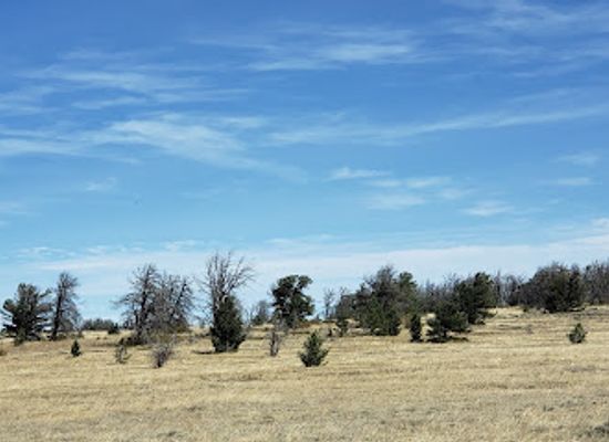wyoming/laramie-plains/attraction/summit-trailhead