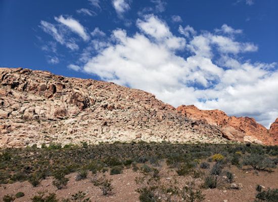 nevada/southern-nevada/attraction/the-neon-museum-las-vegas