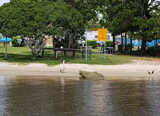 australia/noosa/attraction/keyser-island-conservation-park