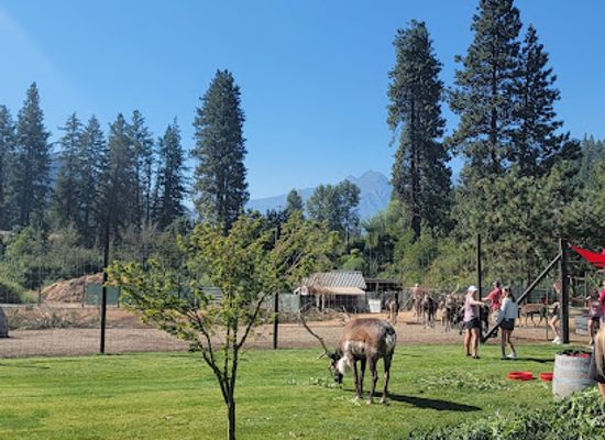 washington/southwest-washington/attraction/leavenworth-reindeer-farm