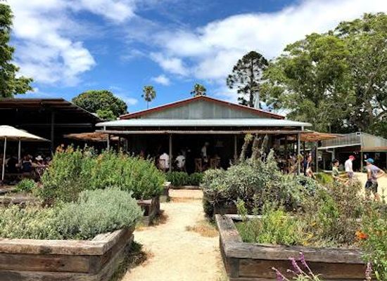 australia/byron-bay/attraction/the-farm-byron-bay